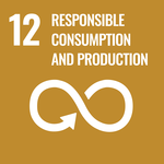 SDG goal 12 economy