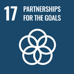 SDG goal  partnerships